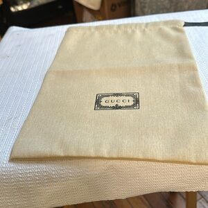 Gucci shoe bag